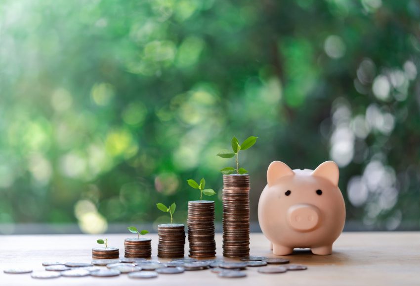 Business,Finance,And,Saving,Money,Investment,,Money,Coin,Stack,Growing Business,Finance,And,Saving,Money,Investment,,Money,Coin,Stack,Growing